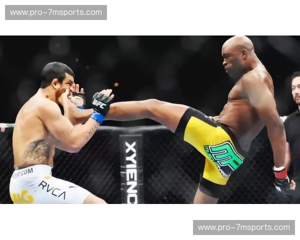 前瞻MMA：在擂台之外看见未来的格斗